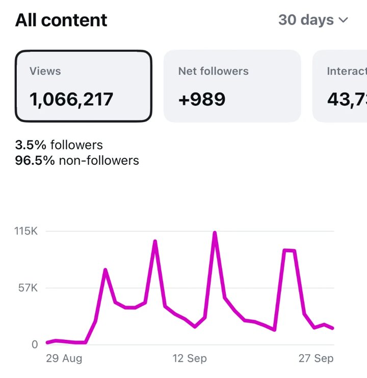 Instagram insights: 1,066,217 views in 30 days, 96.5% non-followers, +989 net followers